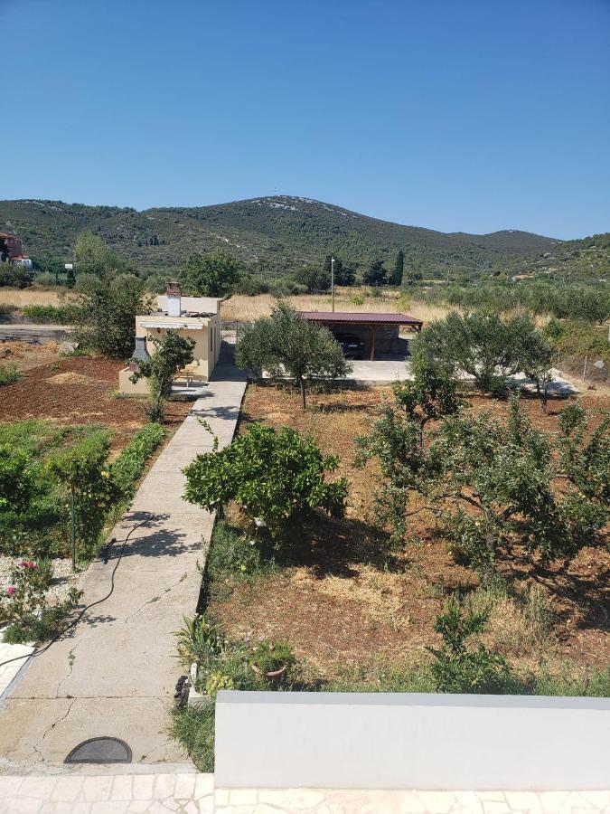 Apartmani Ciklic Dobropoljana 外观 照片